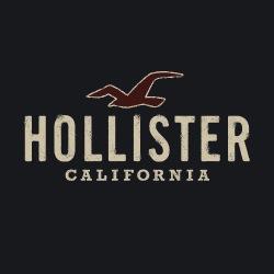 Hollister Co.